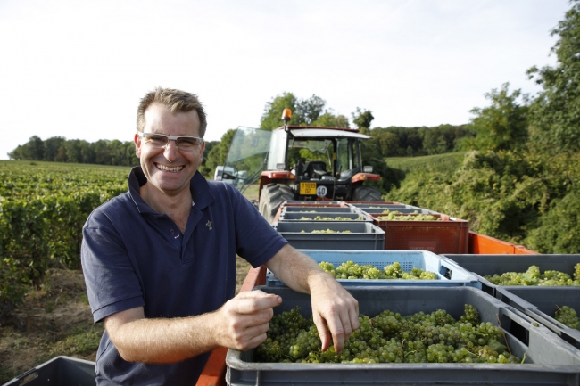 Champagne Pierre COURTOIS - 