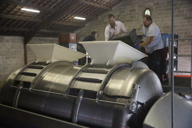 Champagne Pierre COURTOIS - 