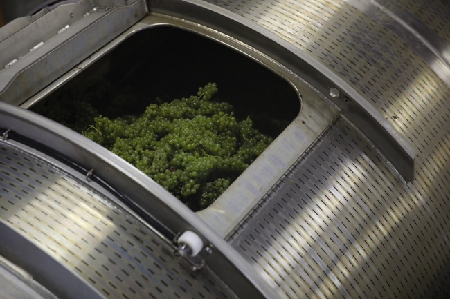 Champagne Pierre COURTOIS - 